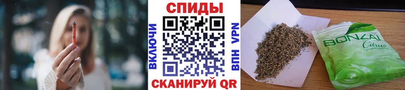 БУТИРАТ BDO  ОМГ ОМГ ТОР  Шенкурск 