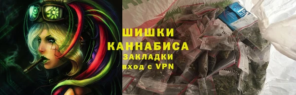 индика Беломорск