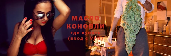 индика Беломорск
