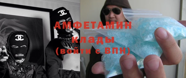 индика Беломорск