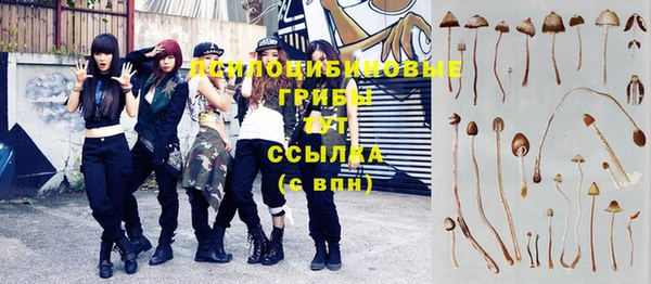 индика Беломорск