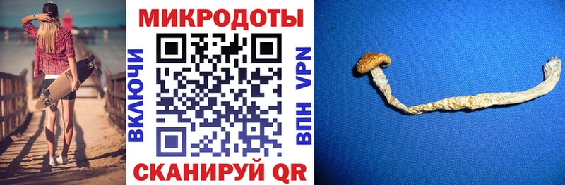 Псилоцибиновые грибы GOLDEN TEACHER  купить закладку  Шенкурск 